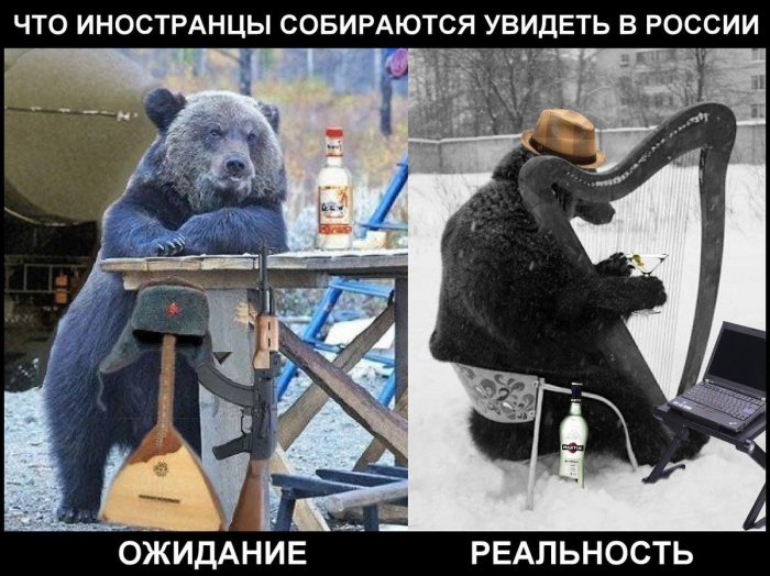 Забавные картинки
