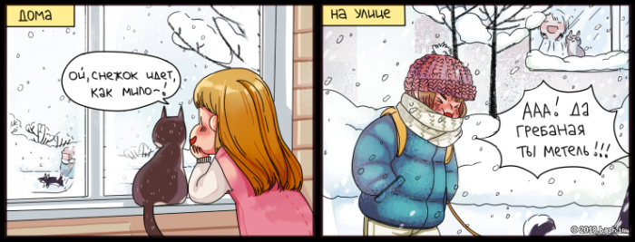 Забавные картинки