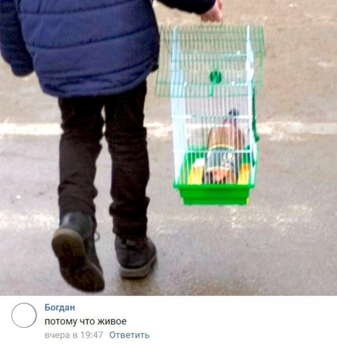 Забавные картинки