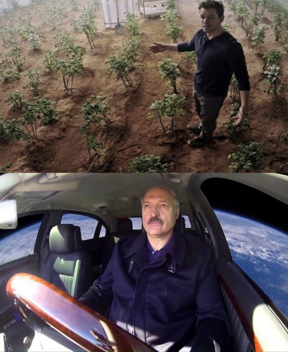 Забавные картинки