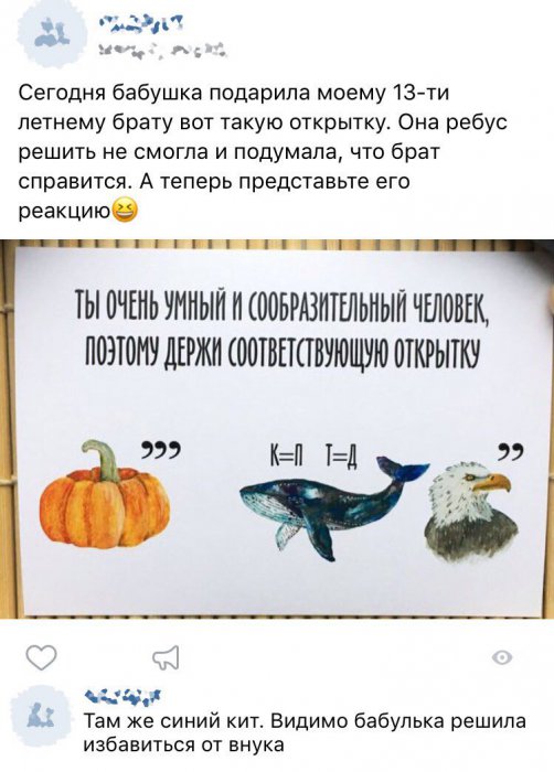 Забавные картинки