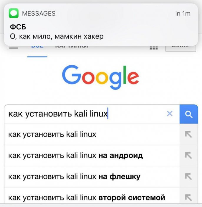 Забавные картинки