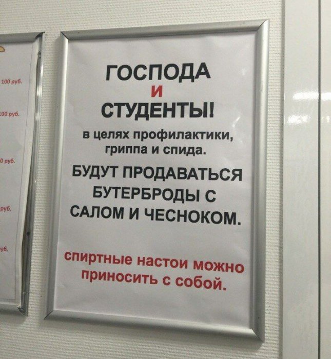 Забавные картинки