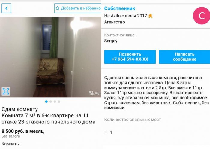 Забавные картинки