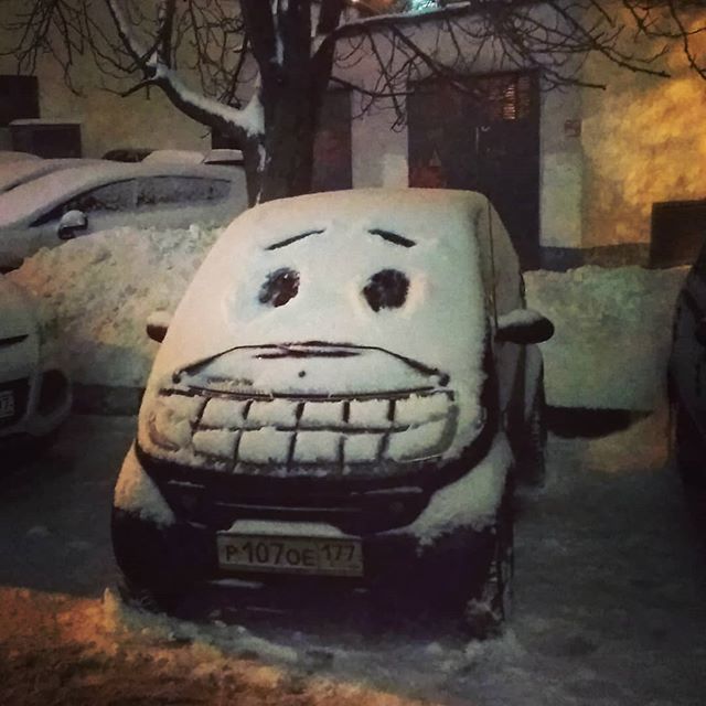 Забавные картинки