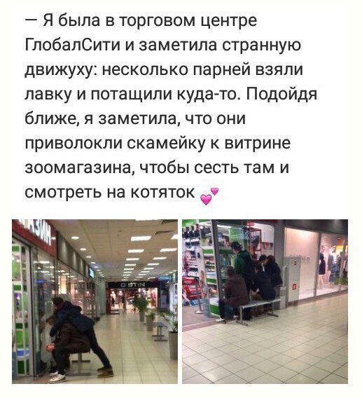 Забавные картинки
