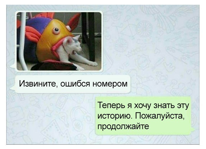 Забавные картинки