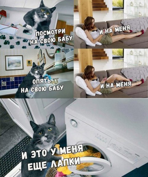 Забавные картинки