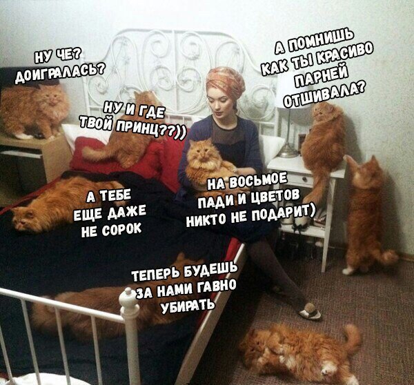 Забавные картинки