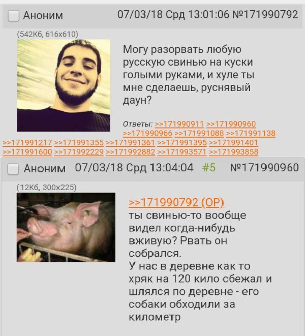 Забавные картинки