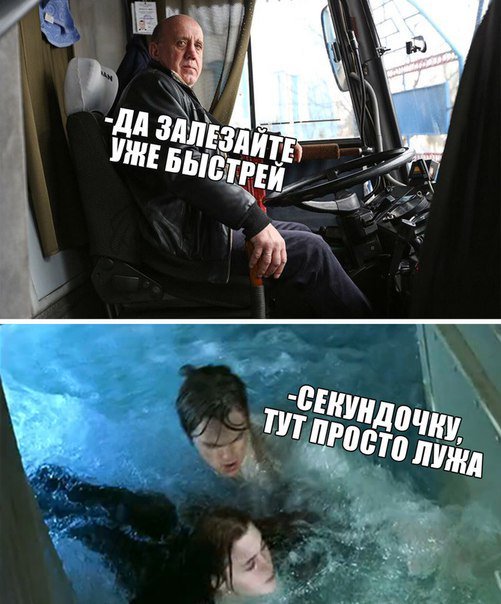 Забавные картинки