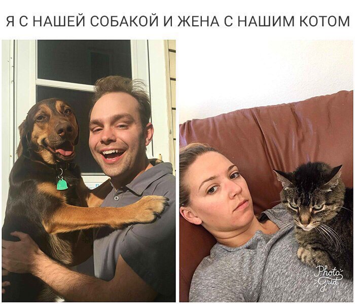 Забавные картинки