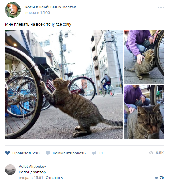 Забавные картинки