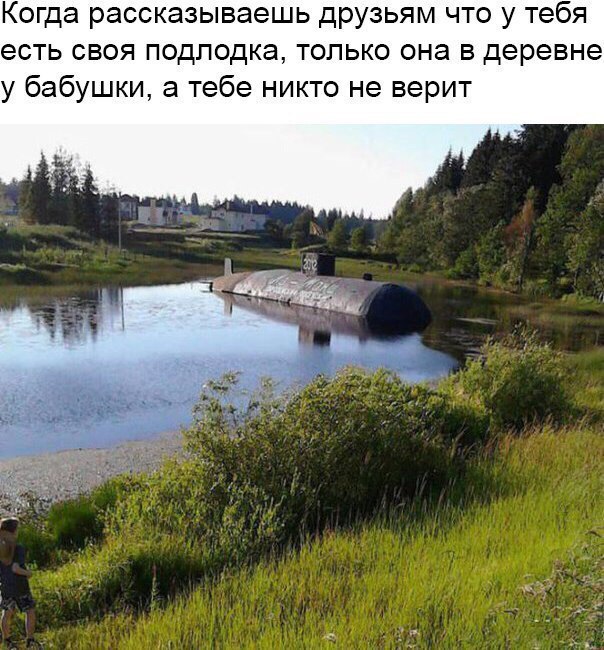 Забавные картинки