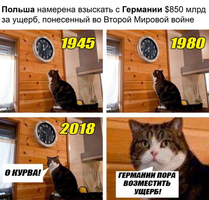 Забавные картинки