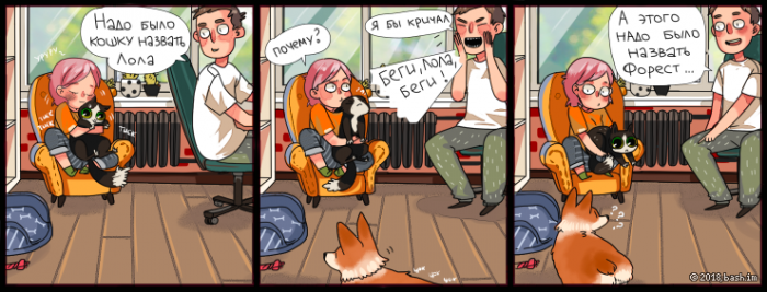 Забавные картинки