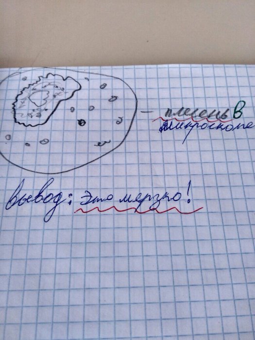 Забавные картинки