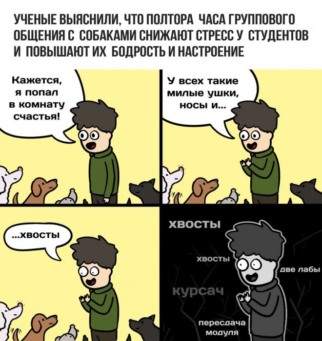 Забавные картинки