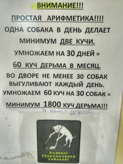 Забавные картинки