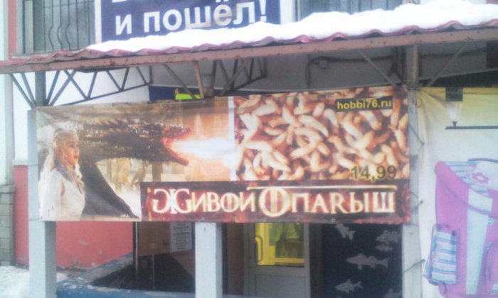 Забавные картинки