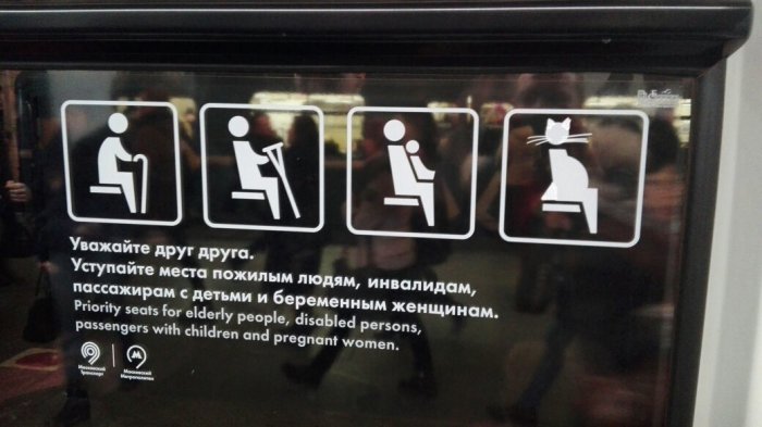 Забавные картинки
