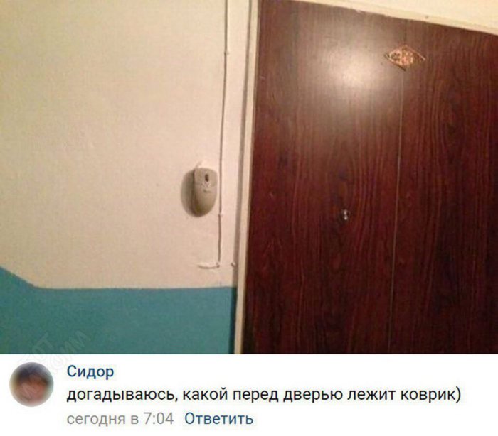 Забавные картинки