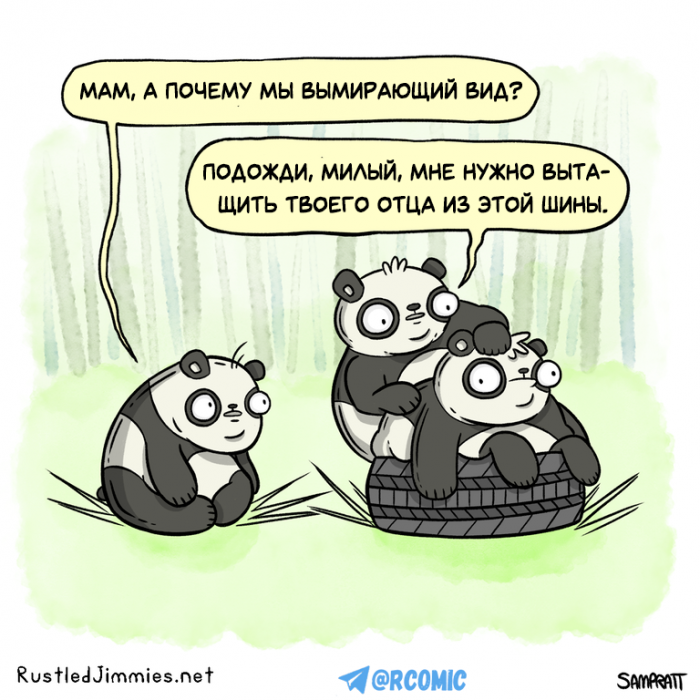 Забавные картинки