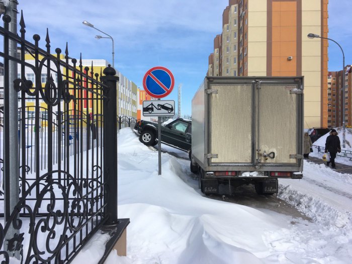 Забавные картинки