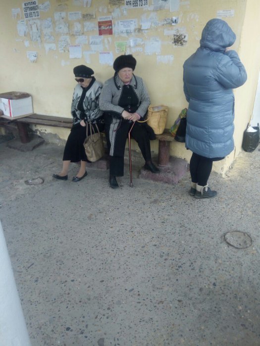 Забавные картинки