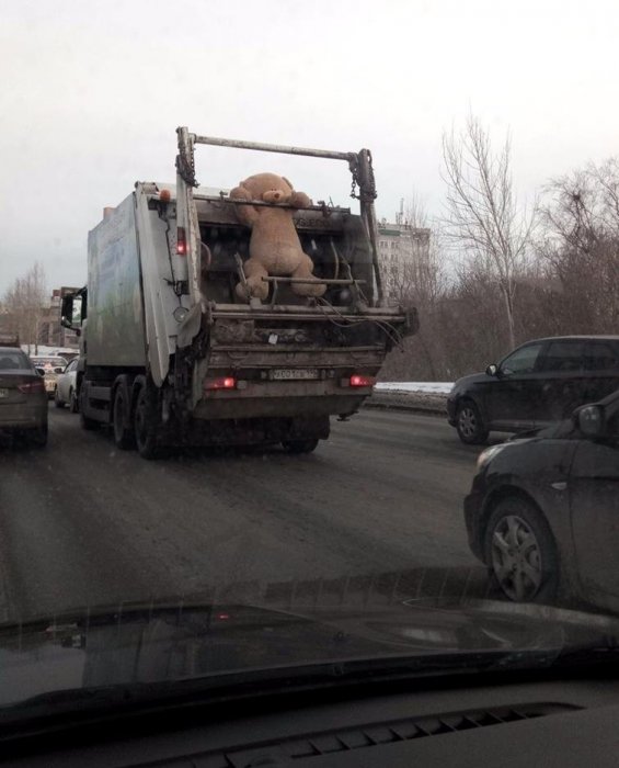 Забавные картинки