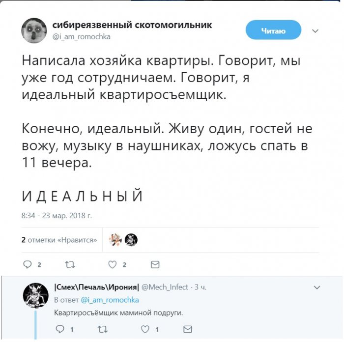Забавные картинки