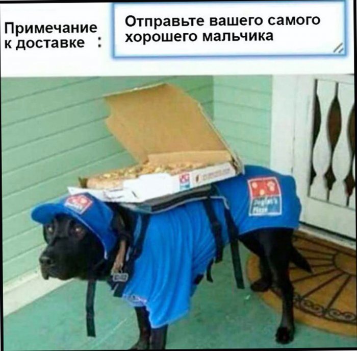 Забавные картинки