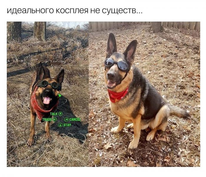 Забавные картинки