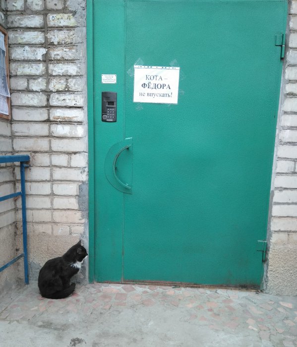 Забавные картинки