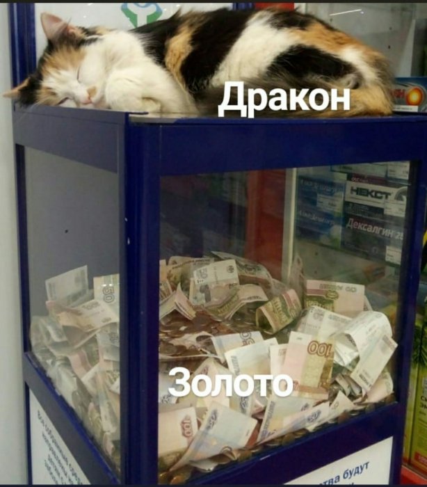 Забавные картинки