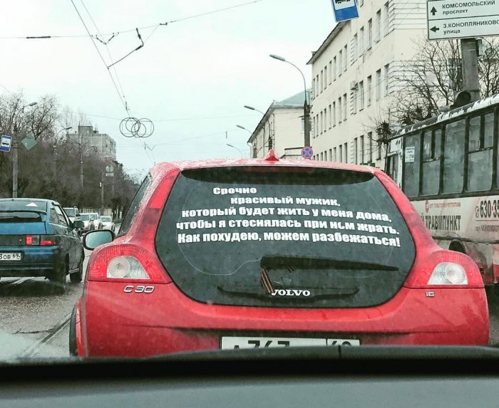 Забавные картинки