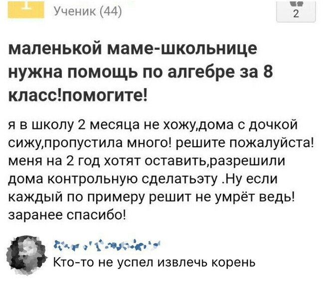 Забавные картинки