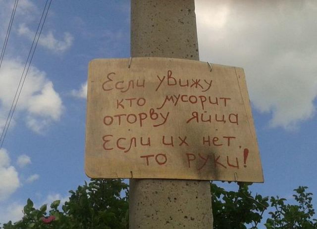 Забавные картинки