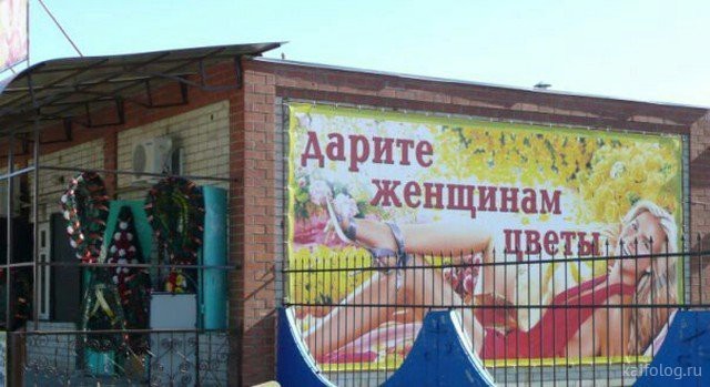 Забавные картинки