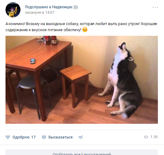 Забавные картинки