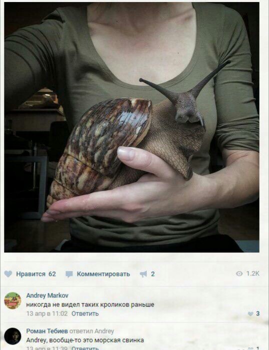 Забавные картинки