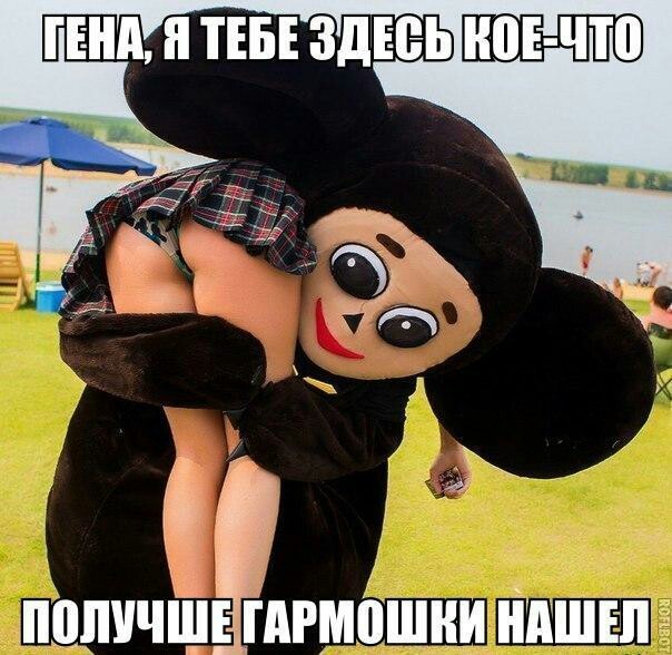 Забавные картинки