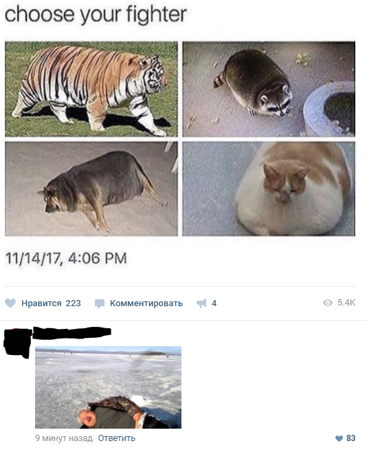 Забавные картинки