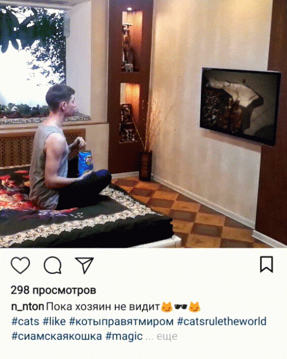 Забавные картинки