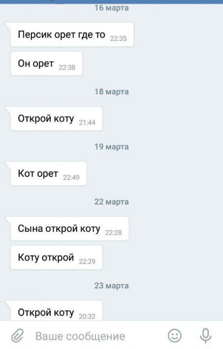 Забавные картинки
