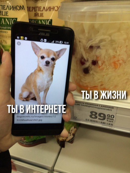 Забавные картинки