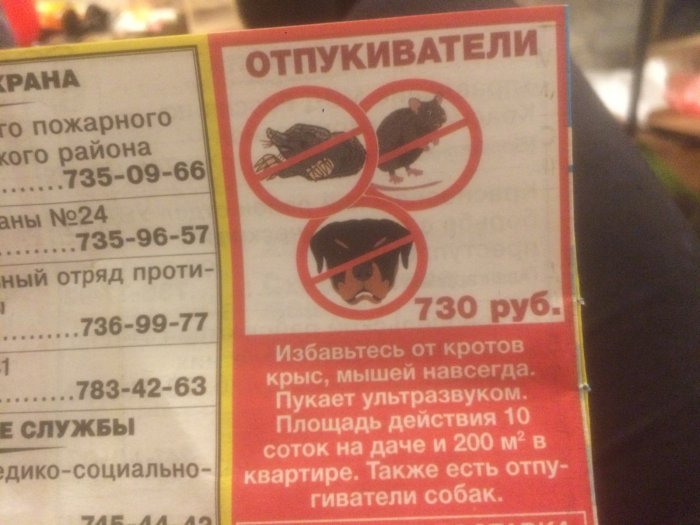 Забавные картинки