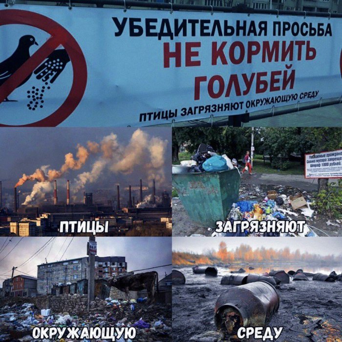 Забавные картинки