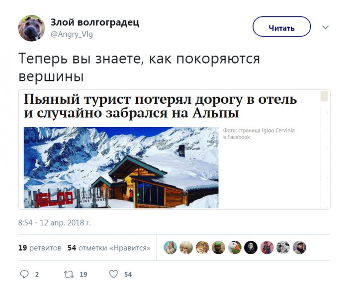 Забавные картинки