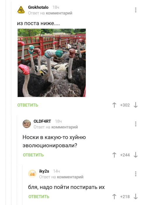 Забавные картинки
